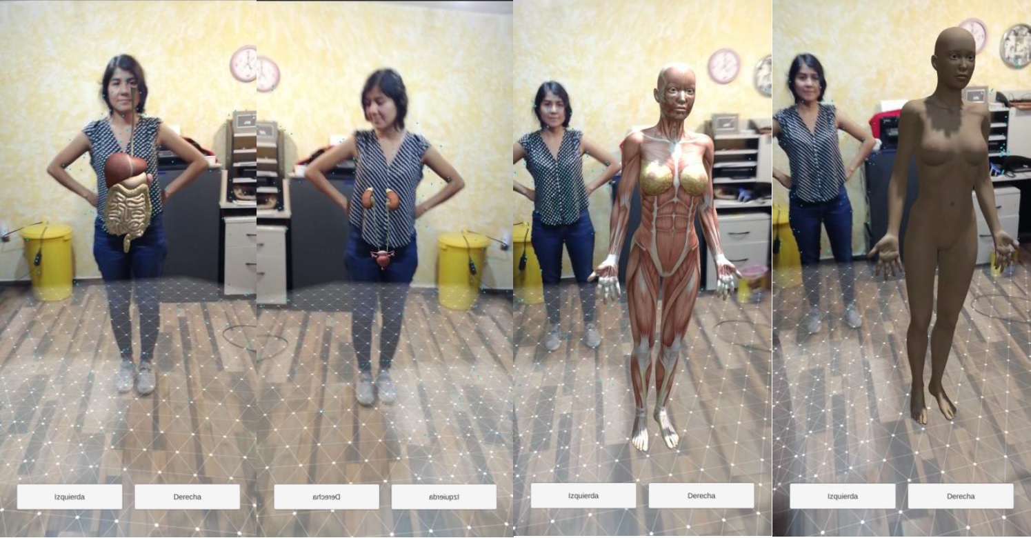 AR Anatomy
